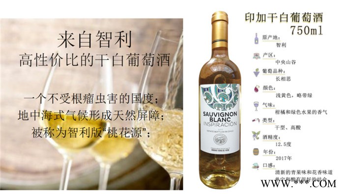 智利印加干白葡萄酒图3