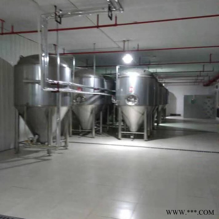 酿酒设备 啤酒设备 白酒设备图2