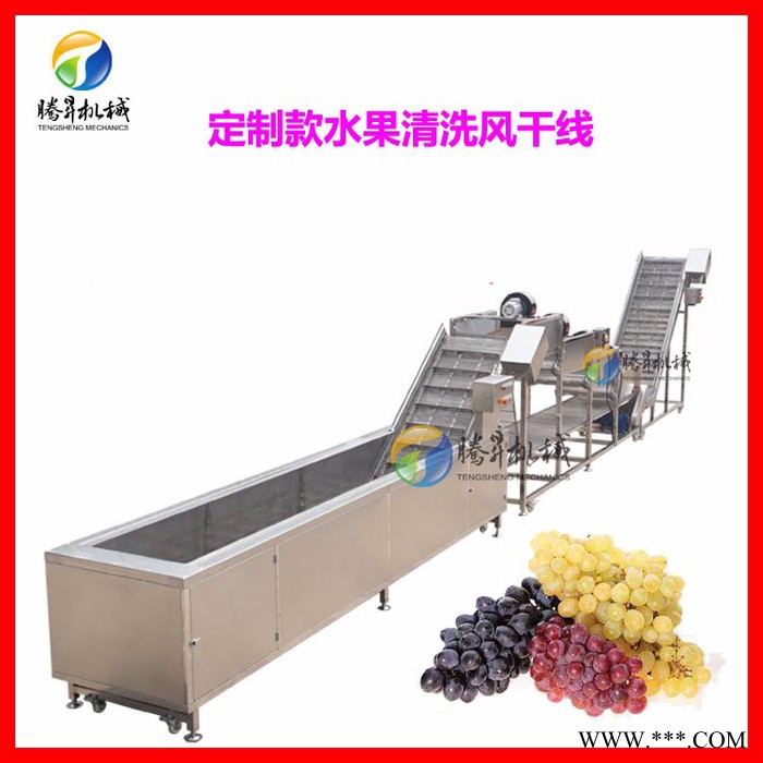 广东厂家生产 全自动葡萄酒前处理流水线 葡萄清洗降解农药机 葡萄清洗视频 葡萄前处理线图2
