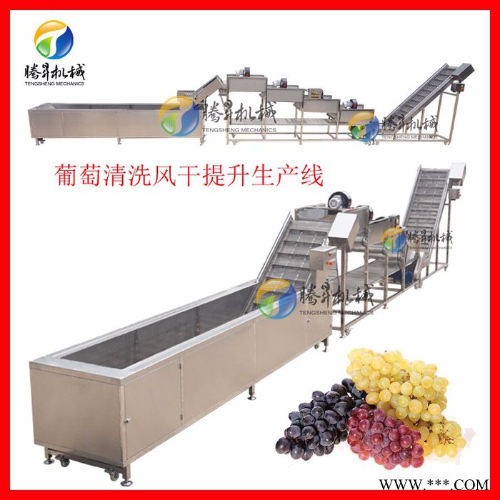 广东厂家生产 全自动葡萄酒前处理流水线 葡萄清洗降解农药机 葡萄清洗视频 葡萄前处理线图3