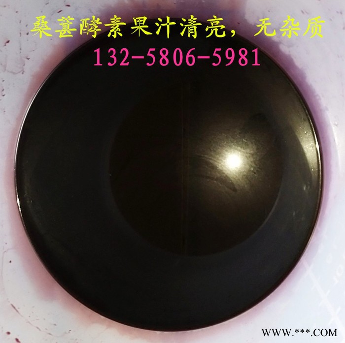 **山葡萄酒压榨机 葡萄汁蓝莓汁过滤压榨机 自动出料果酒压滤机图2