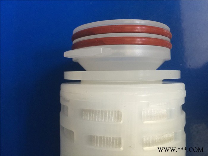 PP微孔折叠滤芯 替换PALL 3M 10寸 0.45微米 0.22um 葡萄酒水过滤图4