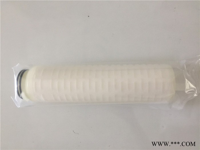 PP微孔折叠滤芯 替换PALL 3M 10寸 0.45微米 0.22um 葡萄酒水过滤图3
