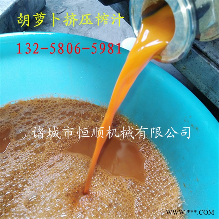 手工酿造果酒红酒榨汁压滤机 葡萄酒荔枝果酒酒液压榨过滤机 酵素压榨机 葡萄酒压榨机图4
