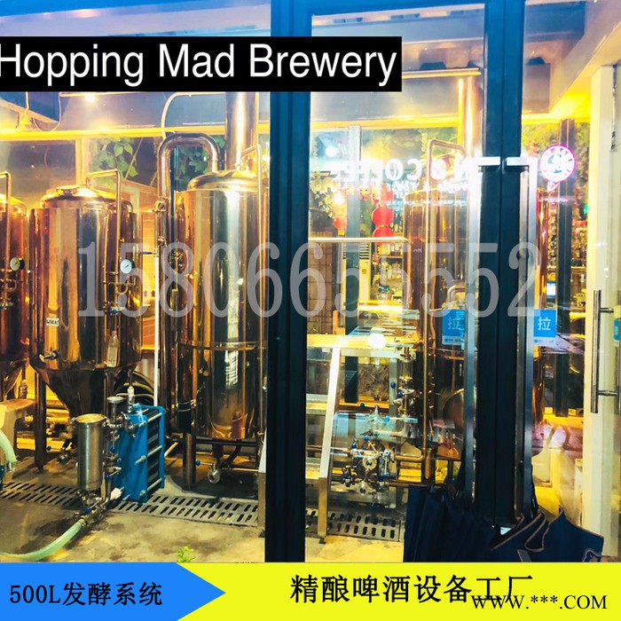 济南正麦500升啤酒精酿设备发酵罐 不锈钢酿酒设备 家庭小型酿酒设备 成套酿酒设备图2