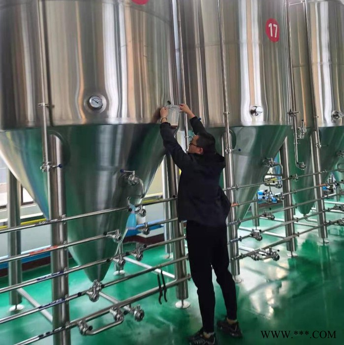 正麦5000升发酵罐 酿酒设备大型 304不锈钢酿酒设备 全自动酿酒设备图4