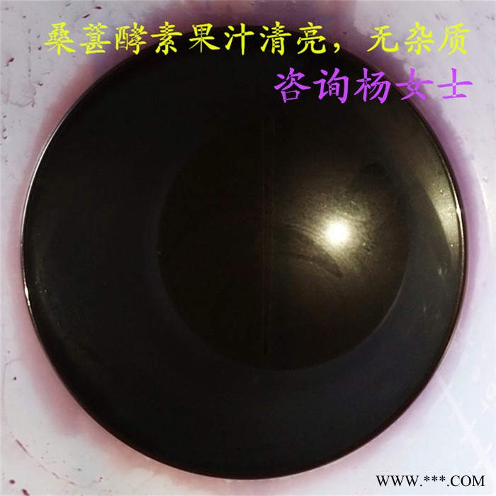 云南特产葡萄酒压榨机 玫瑰蜜葡萄原汁过滤提取压榨机 果酒固液分离设备图8