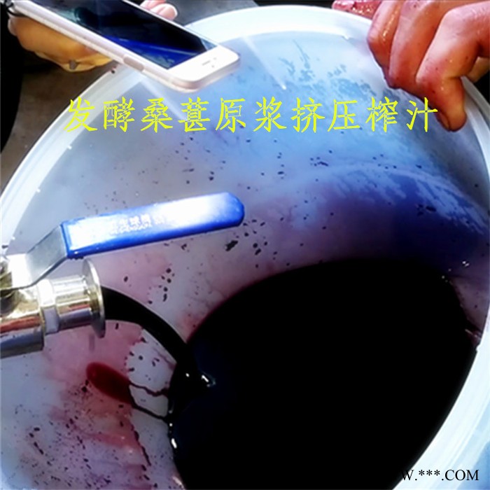 云南特产葡萄酒压榨机 玫瑰蜜葡萄原汁过滤提取压榨机 果酒固液分离设备图6