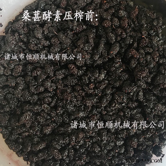玫瑰葡萄酒、发酵红葡萄酒糟压榨机 蔬菜青汁压榨机 紫玉葡萄榨汁图2
