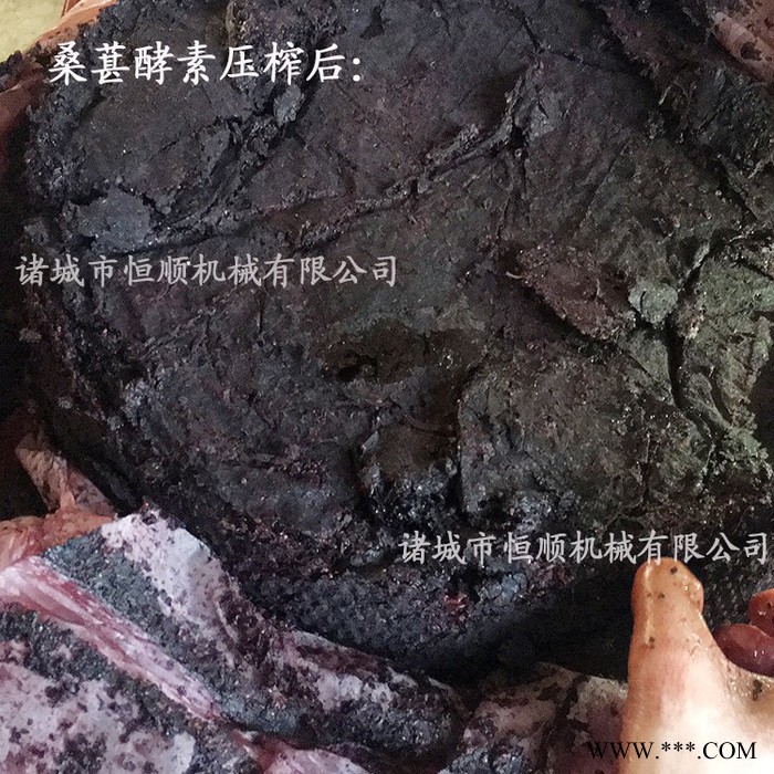玫瑰葡萄酒、发酵红葡萄酒糟压榨机 蔬菜青汁压榨机 紫玉葡萄榨汁图3
