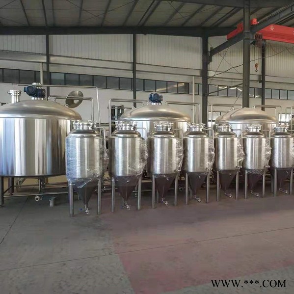 正麦300L 啤酒设备 啤酒酿酒设备 酿酒设备 自酿啤酒设备图3