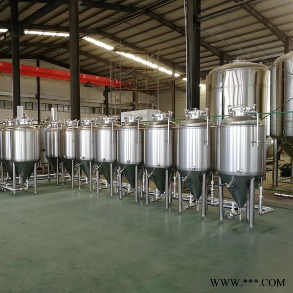 正麦300L 啤酒设备 啤酒酿酒设备 酿酒设备 自酿啤酒设备图4