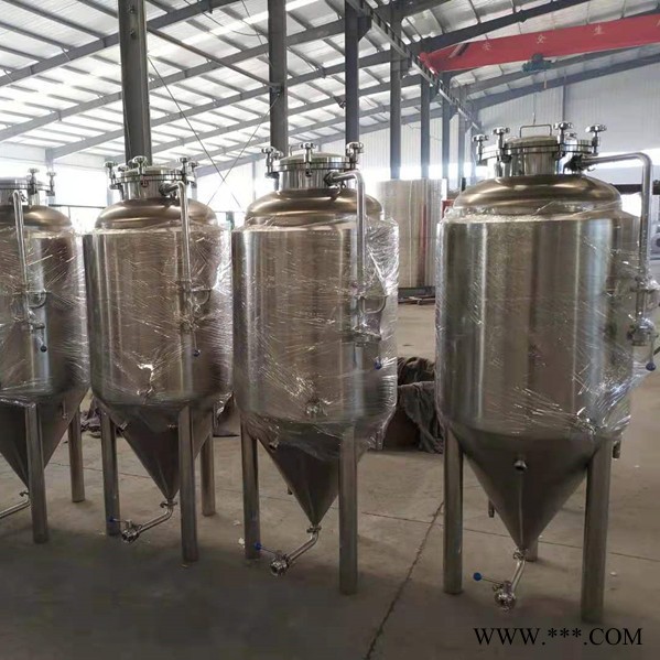 正麦300L 啤酒设备 啤酒酿酒设备 酿酒设备 自酿啤酒设备图5