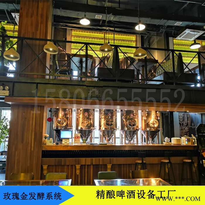 正麦500升啤酒精酿设备发酵罐扎啤机 酿酒设备 家庭小型酿酒设备 成套酿酒设备图4