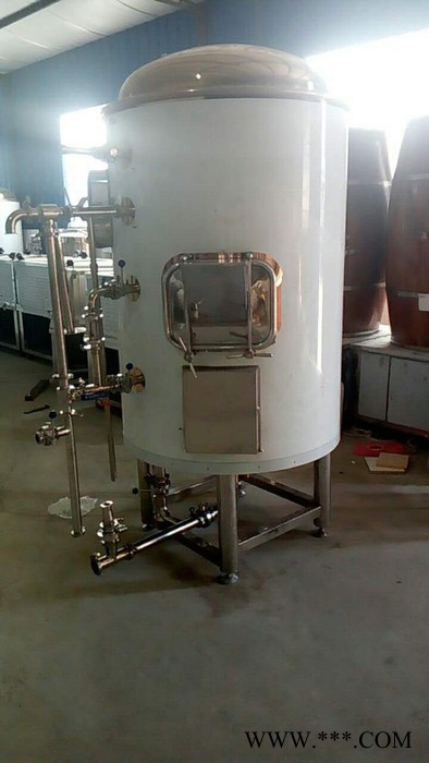 供应布劳恩3369 自酿啤酒机自酿葡萄酒机厂家全国招商图5