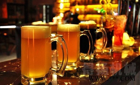 供应布劳恩3369 自酿啤酒机自酿葡萄酒机厂家全国招商图7