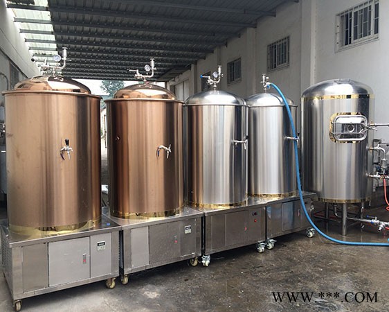 供应布劳恩3369 自酿啤酒机自酿葡萄酒机厂家全国招商图3