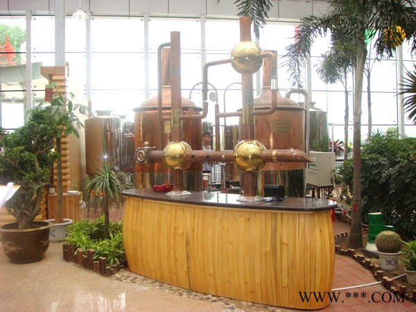 供应布劳恩3369 自酿啤酒机自酿葡萄酒机厂家全国招商图2