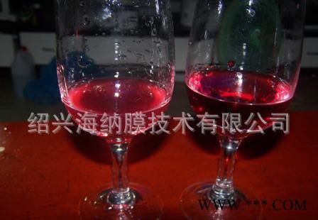 家用葡萄酒过滤机 自酿葡萄酒过滤 葡萄酒过滤带泵图2