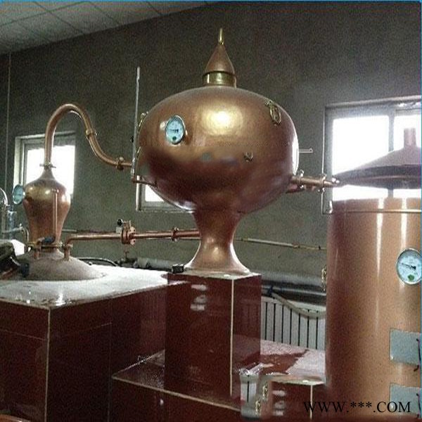 大汉 果酒蒸馏设备厂家 白兰地酿酒设备可定制图5