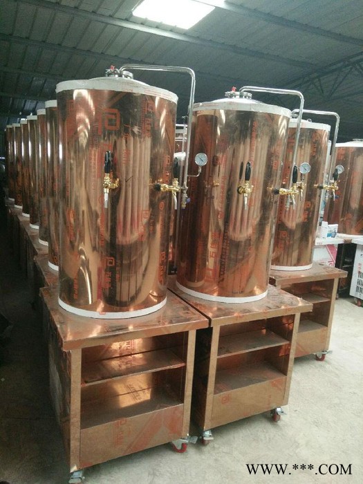 永胜新款300L扎啤机，豪华玫瑰金色扎啤机酿酒设备，质量总是有保证图2