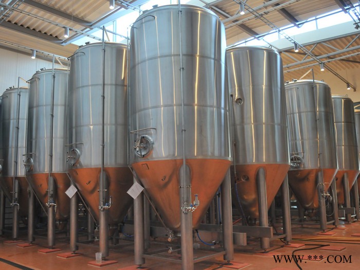 尊皇 实验型酿酒设备图5