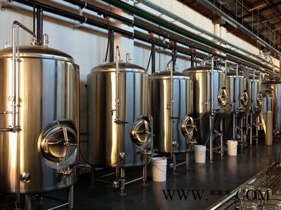 尊皇 实验型酿酒设备图3