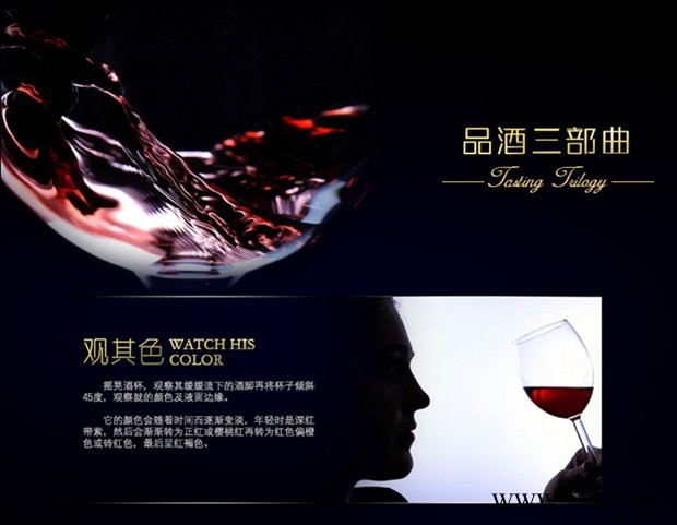 斗牛士天帕尼洛红葡萄酒 西班牙进口**干红葡萄酒图6