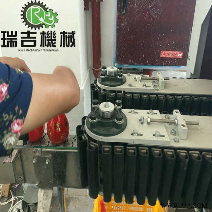 白酒夹瓶提升机 瑞吉品牌20的信誉和经验图5