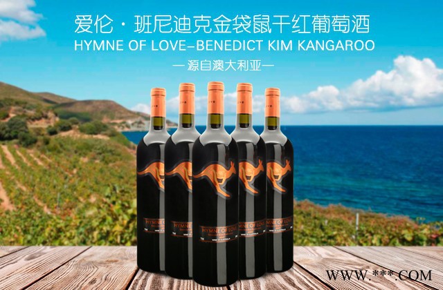 金袋鼠葡萄酒澳大利亚原瓶原装进口红酒干红批发货源750ml规格地区招商代理 葡萄酒商务团购干红图2