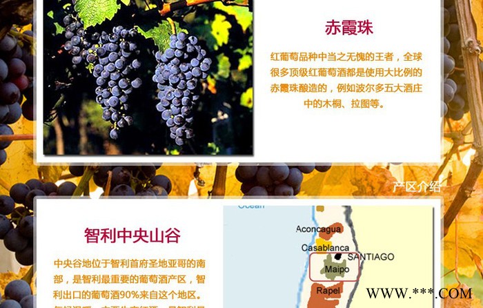 智利进口赤霞珠红葡萄酒 750ml瓶装原生态干红葡萄酒图3