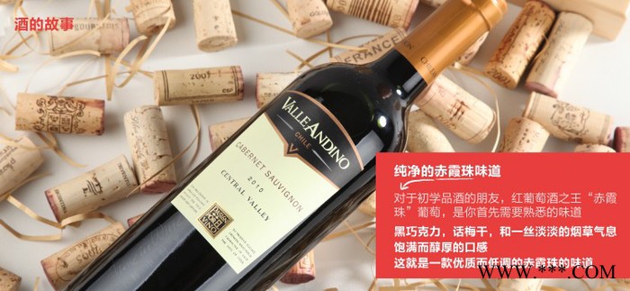 智利进口赤霞珠红葡萄酒 750ml瓶装原生态干红葡萄酒图2