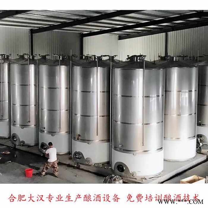大汉 果酒发酵罐各规格酿酒设备 苹果果酒发酵罐不锈钢储酒罐图2