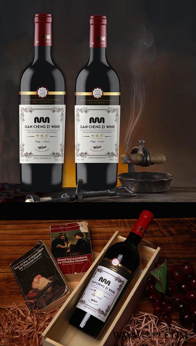 甘城子葡萄酒 贺兰山东麓葡萄酒图2