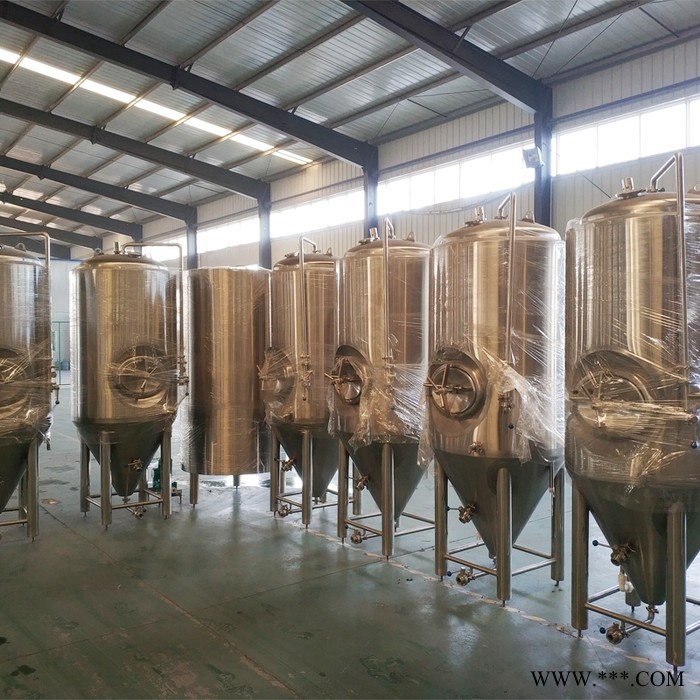 济南正麦500升精酿啤酒设备发酵罐 酿酒设备大型 304不锈钢酿酒设备 全自动扎啤机图4