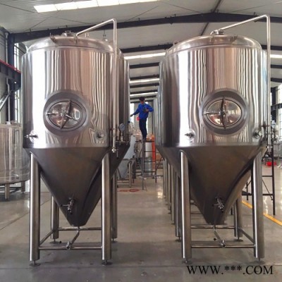 迈德隆 小型啤酒生产线 酿酒设备大型