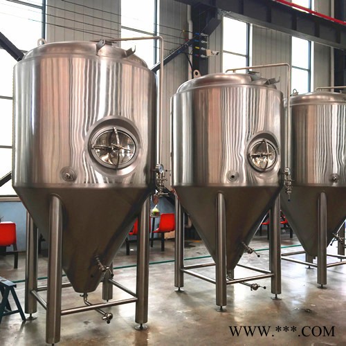 迈德隆 小型啤酒生产线 酿酒设备大型图4
