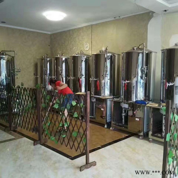 白酒酿酒设备  用电酿酒设备 家用自酿酒设备 现货图2