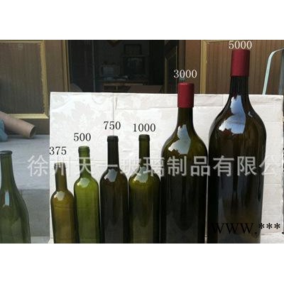 促销热卖经典红酒葡萄酒瓶大号大容量自酿规格齐全1000ml