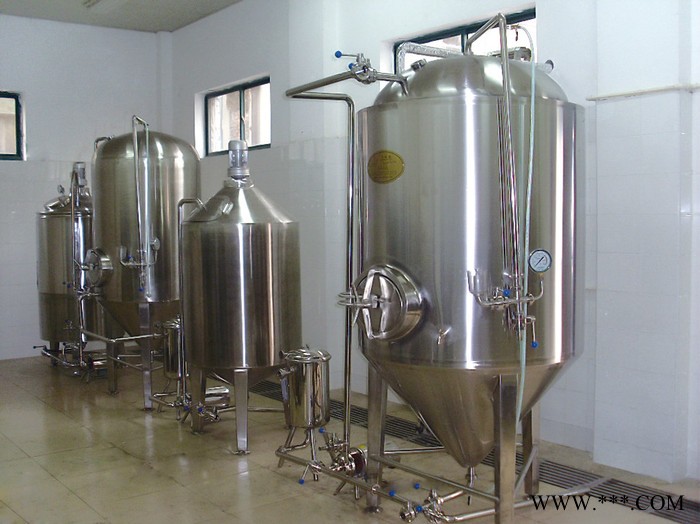 隆邦精酿啤酒设备克瓦斯酿酒设备图2