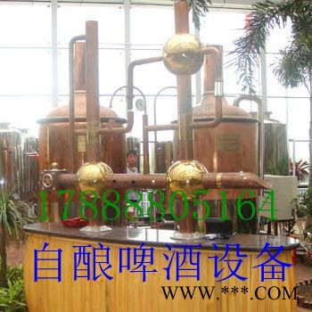 史密力维300L酿酒设备图3