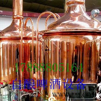 史密力维300L酿酒设备图8