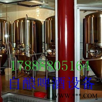 史密力维300L酿酒设备图7