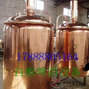 史密力维300L酿酒设备图5
