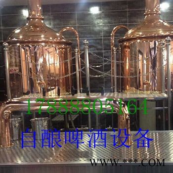 史密力维300L酿酒设备图4