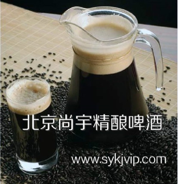 尚宇300L酿酒设备图3