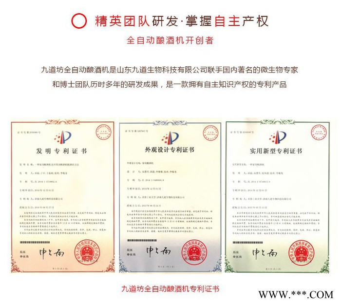 九道坊智能酿酒机30升酿酒设备招商啤酒设备果酒设备图5