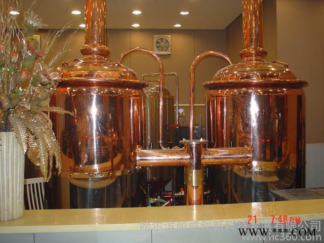 酿酒设备 自酿啤酒设备 微型啤酒设备图2