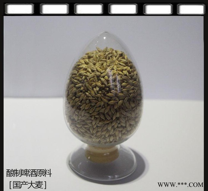 小型酿酒设备直销 酿酒原料 大麦小麦平价图1