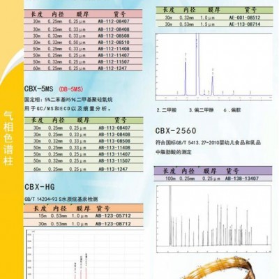 进口色谱柱  CBX  白酒专用柱 TVOC 烷基汞 苯系物